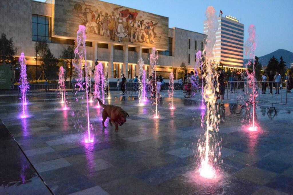 "Tata'S New Home!" ติรานา ภายนอก รูปภาพ